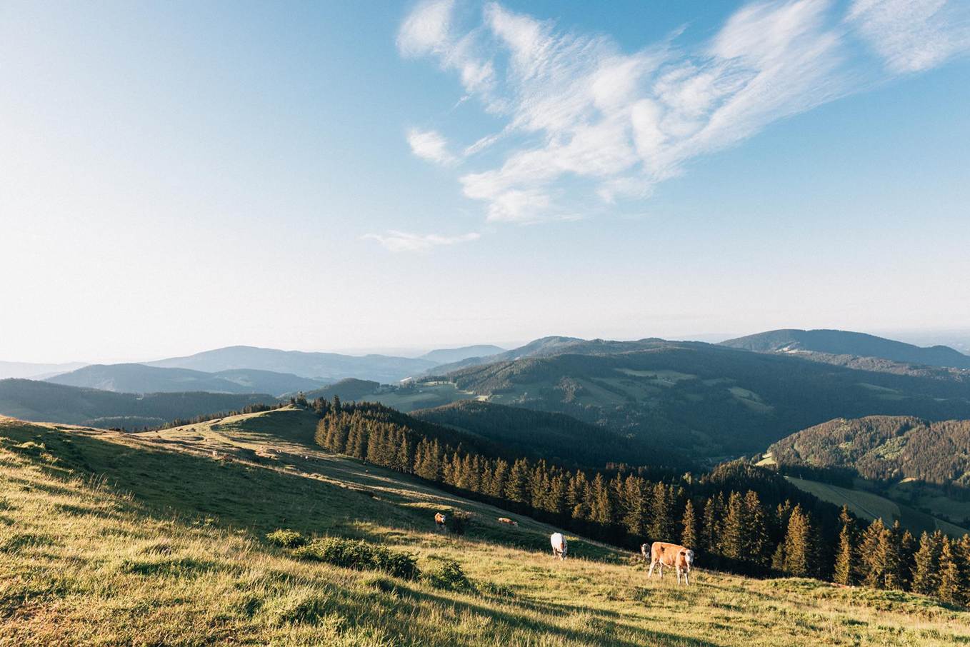Typisch steirisch? Ein Kurzurlaub in der Steiermark macht auch Sie zum echten „Grün-weißen“-Kenner.