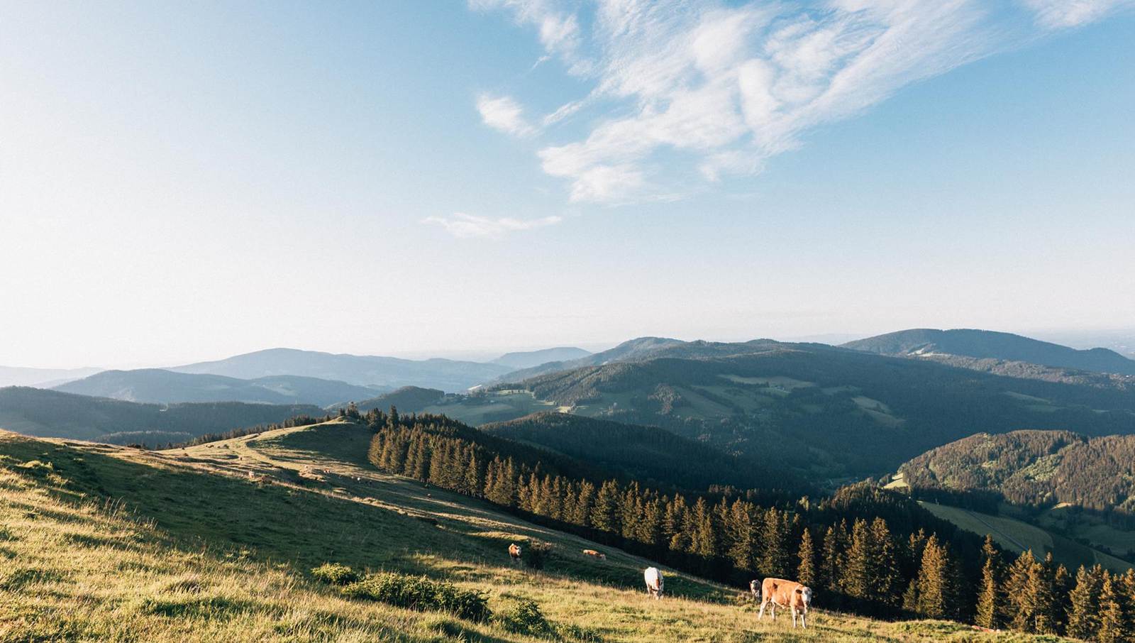 Typisch steirisch? Ein Kurzurlaub in der Steiermark macht auch Sie zum echten „Grün-weißen“-Kenner.