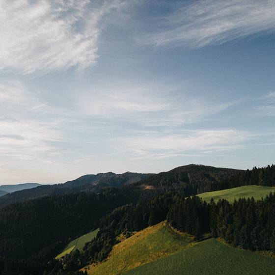 Erlebniswandern in der Steiermark: Mit Kindern & ohne