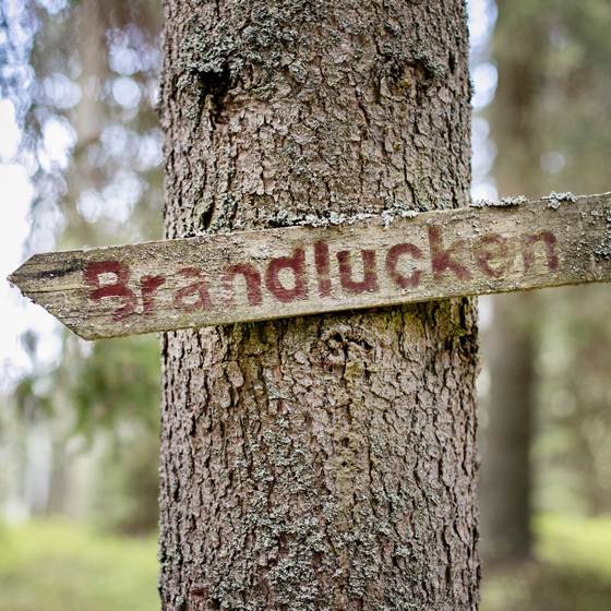 Almgefühl pur im 4-Sterne-Wanderhotel in der Steiermark