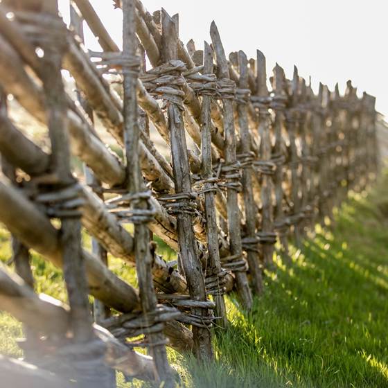 Wanderurlaub in der Steiermark rund um den Bauernhofer 
